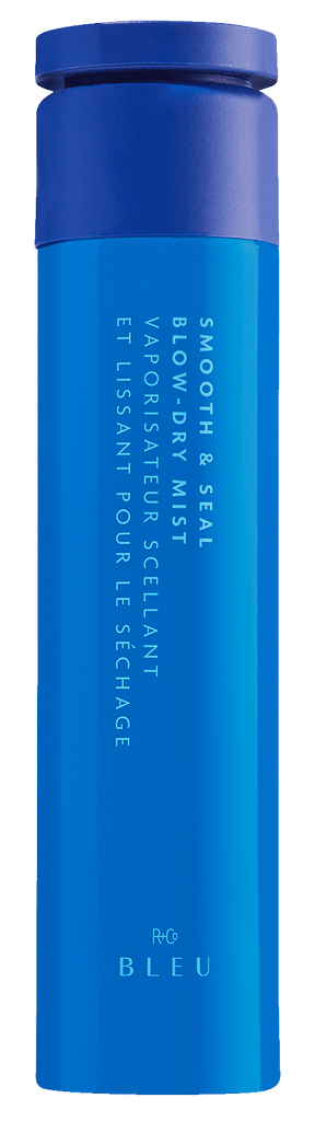 SMOOTH & SEAL BLOW-DRY MIST – R+Co Pro