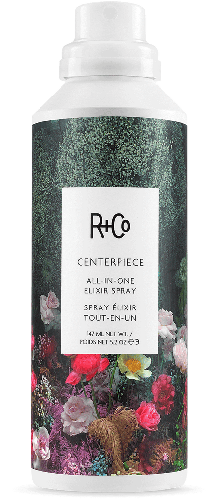 CENTERPIECE All-in-One Elixir Spray – R+Co Pro