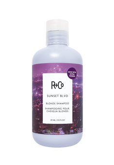 SUNSET BLVD Blonde Shampoo