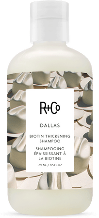 R_Co_WebAssets2021_DALLAS-