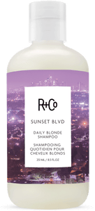 SUNSET BLVD Daily Blonde Shampoo